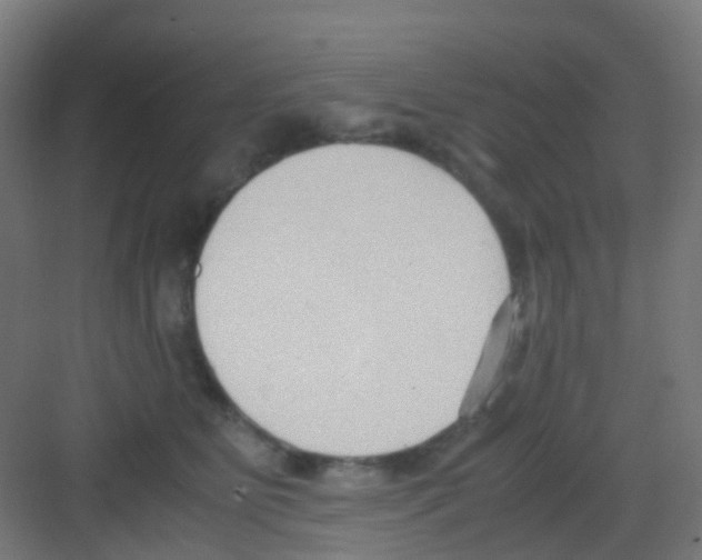 X0000081370515200702082349