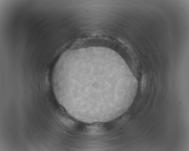 X0000081370516200702082349