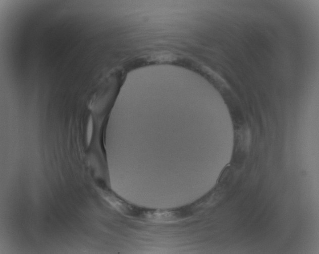 X0000081370517200702082349