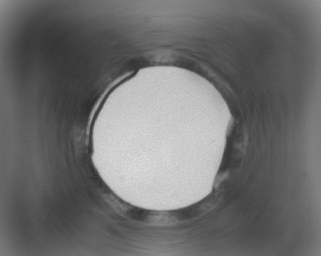 X0000081370521200702082349