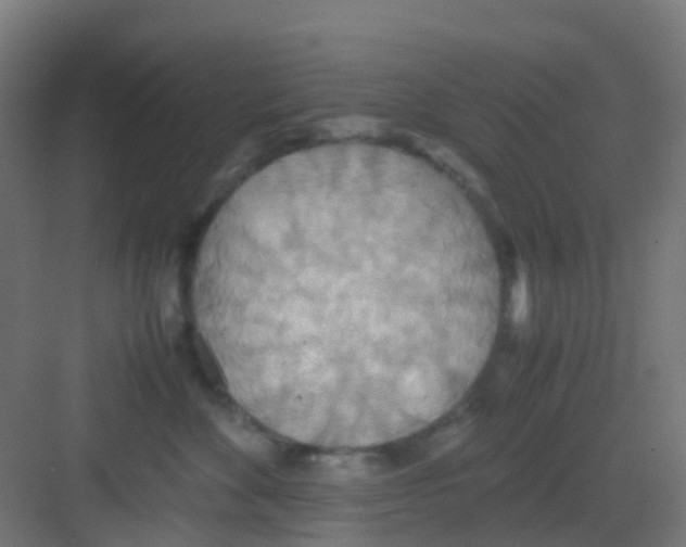 X0000081370524200702082349