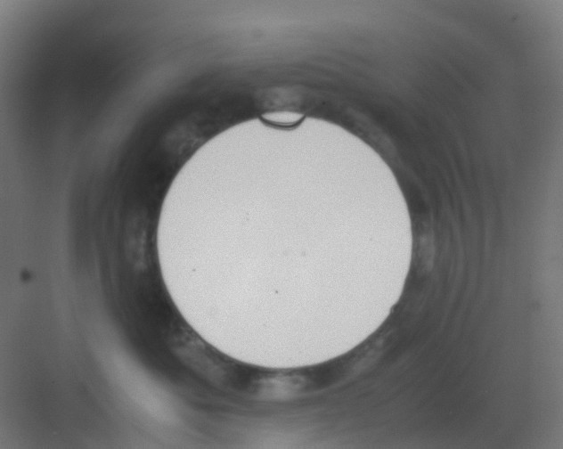 X0000081370525200702082349