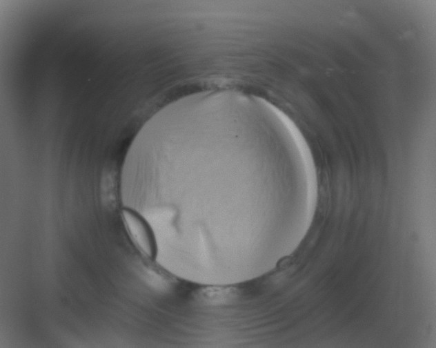 X0000081370526200702082349