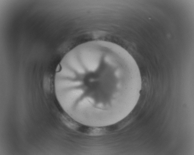 X0000081370527200702082349