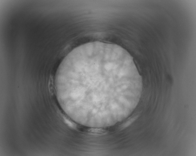 X0000081370528200702082349