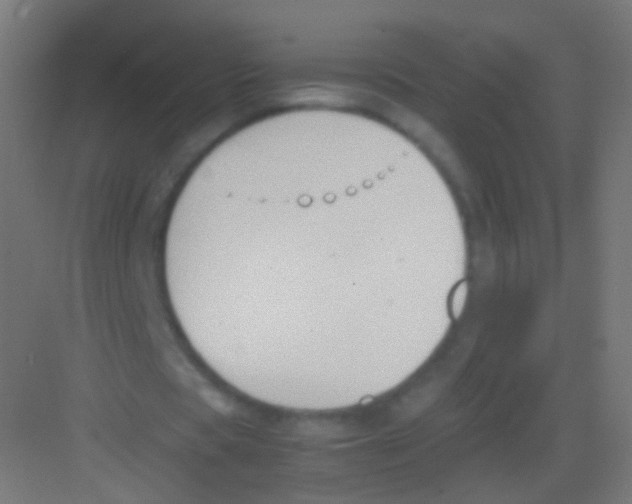 X0000081370529200702082348