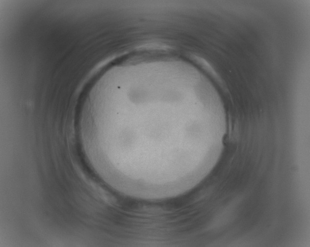 X0000081370531200702082348