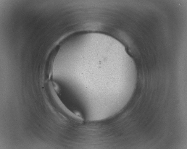 X0000081370532200702082348