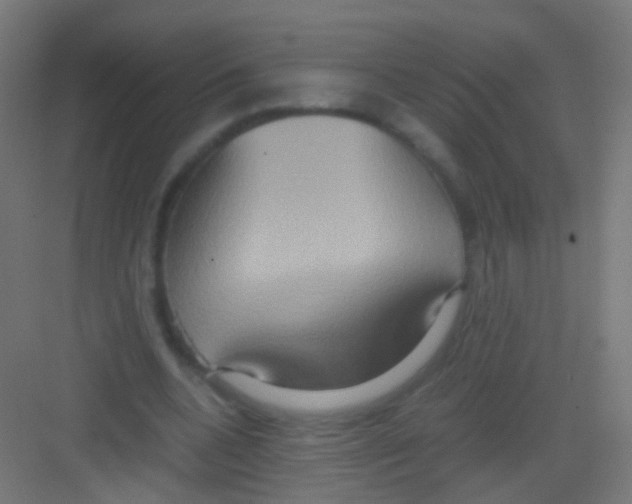 X0000081370536200702082349