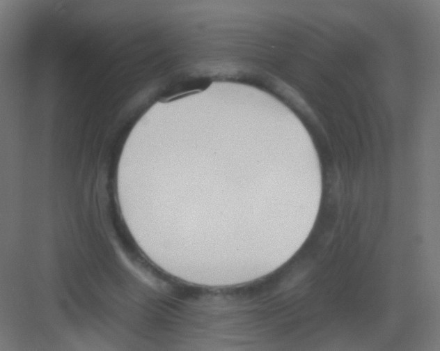 X0000081370538200702082349