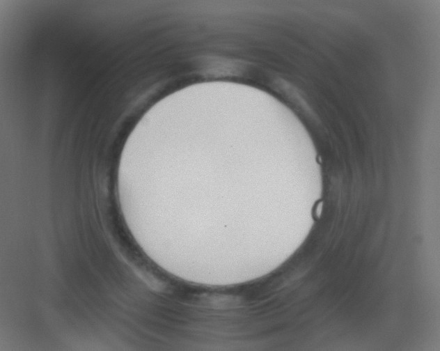 X0000081370539200702082349