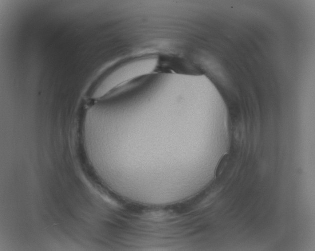 X0000081370540200702082349