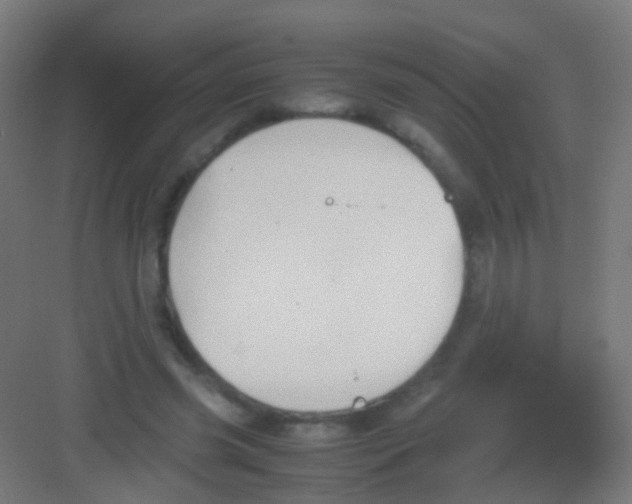 X0000081370541200702082349