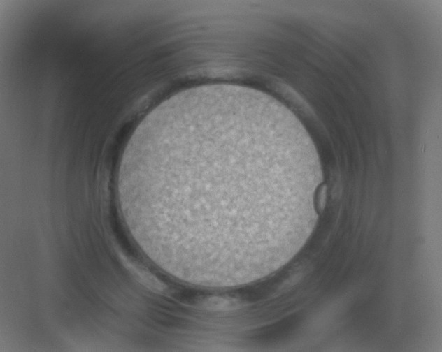 X0000081370542200702082349