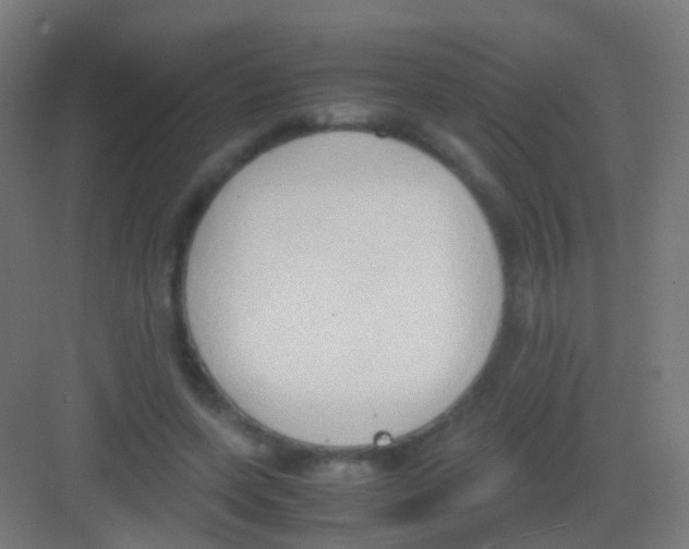 X0000081370543200702082349