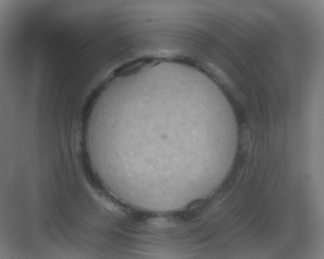 X0000081370544200702082349