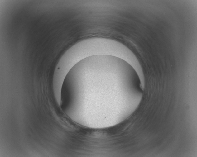 X0000081370546200702082349