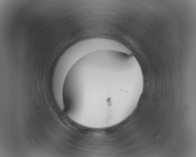 X0000081370548200702082349