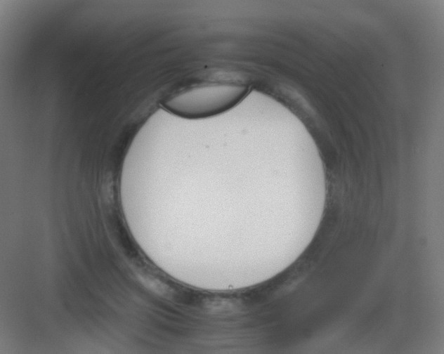 X0000081370549200702082349