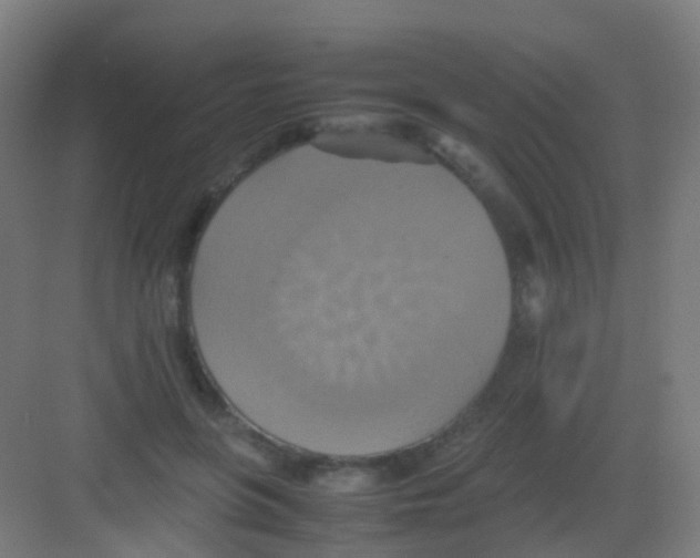 X0000081370551200702082349