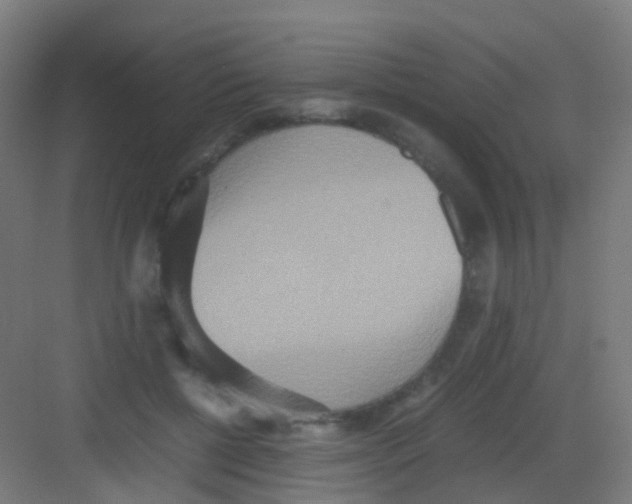 X0000081370552200702082349