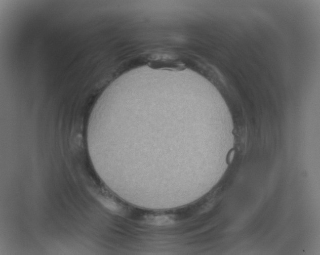 X0000081370553200702082349