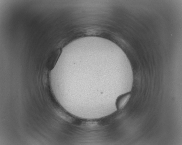 X0000081370554200702082349