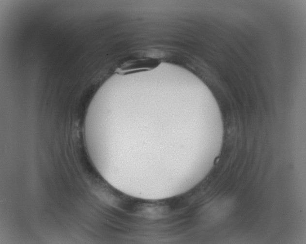 X0000081370555200702082349