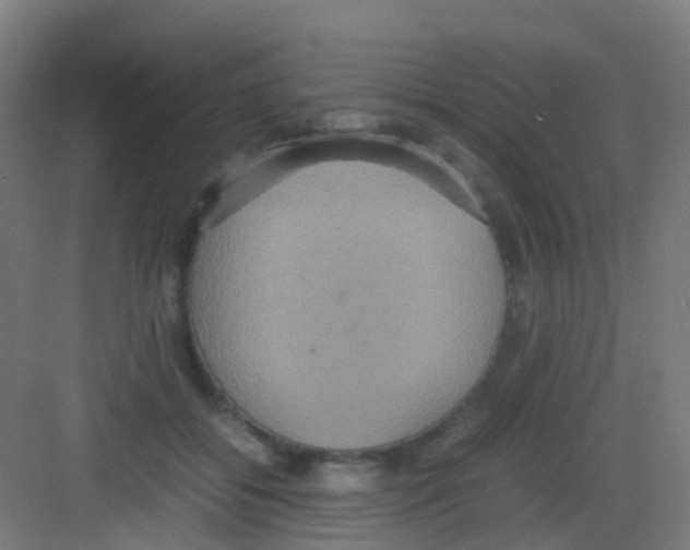 X0000081370556200702082349