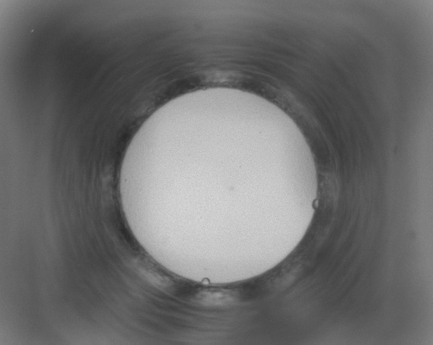 X0000081370557200702082349