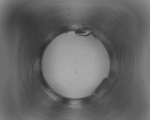 X0000081370560200702082349