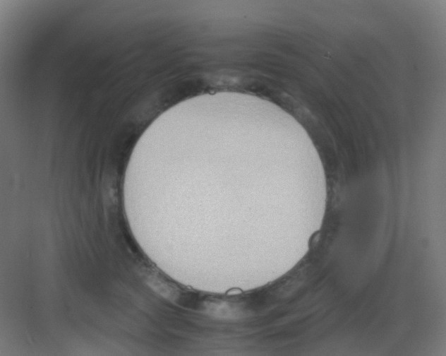 X0000081370561200702082349