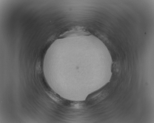 X0000081370564200702082349