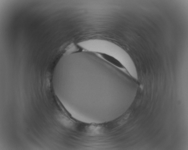 X0000081370570200702082349