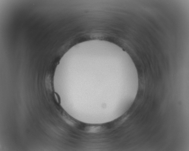 X0000081370575200702082349