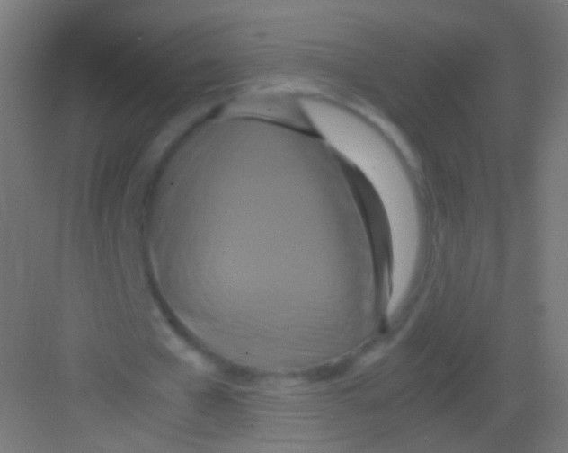 X0000081370577200702082348