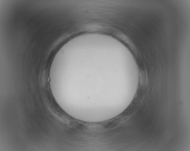 X0000081370579200702082348