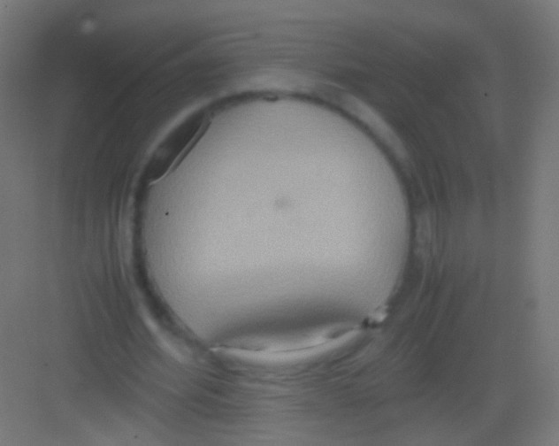 X0000081370580200702082348