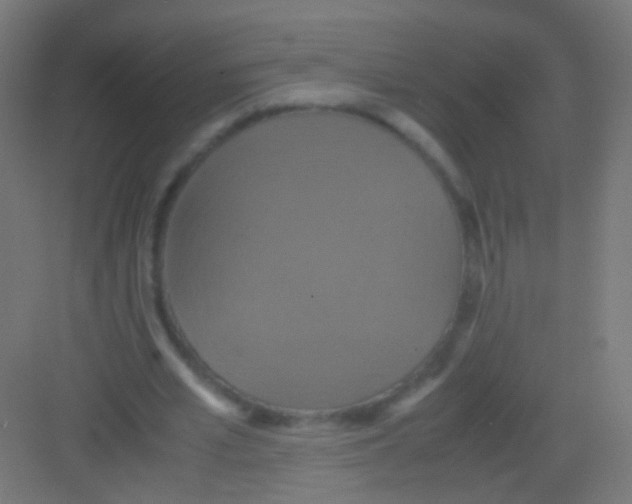 X0000081370581200702082348