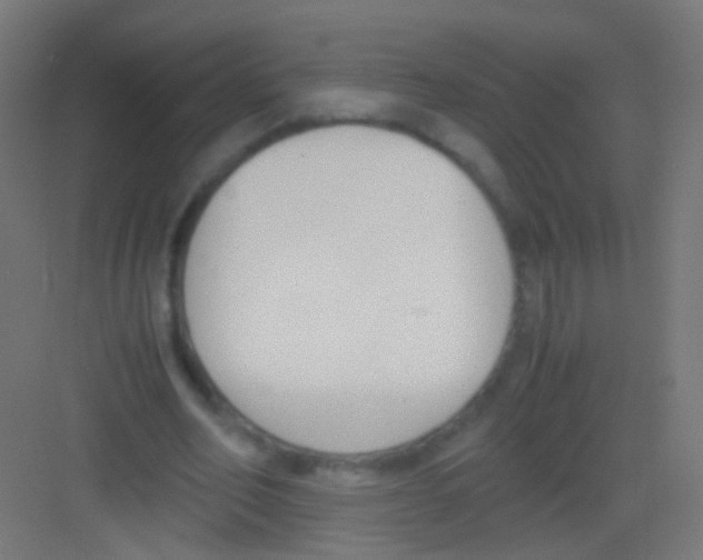 X0000081370582200702082348