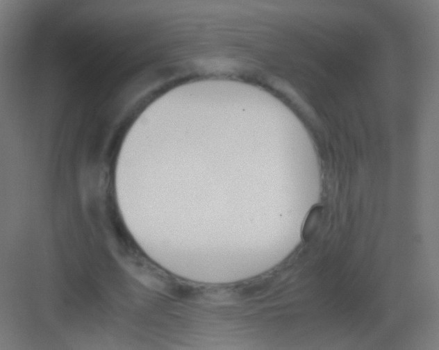 X0000081370583200702082348