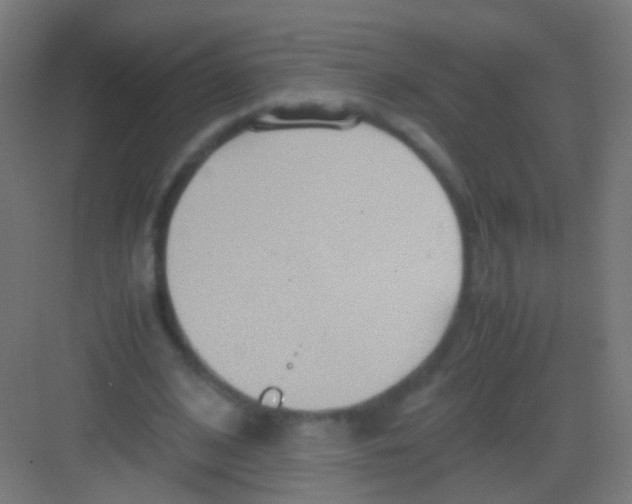 X0000081370584200702082348