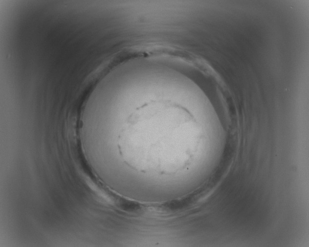 X0000081370585200702082348