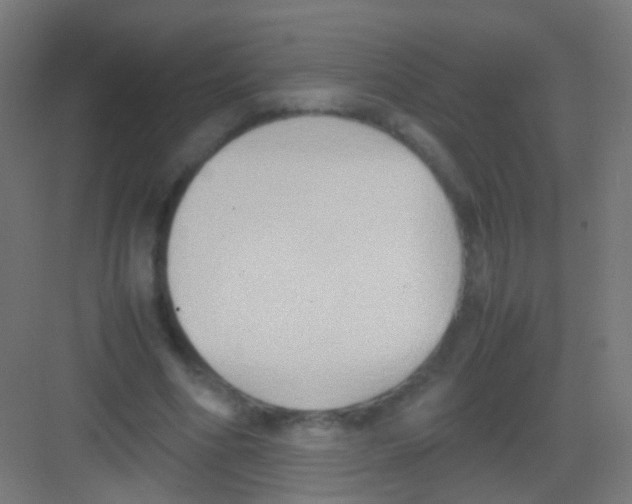 X0000081370586200702082348