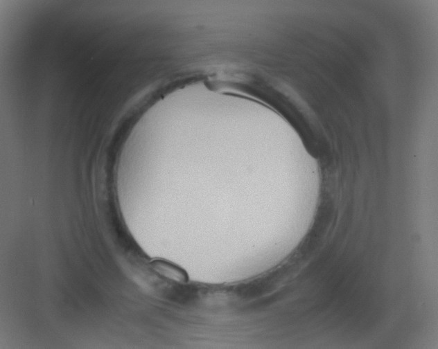 X0000081370587200702082348