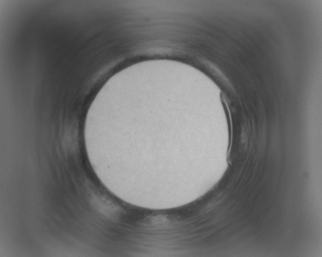 X0000081370588200702082348