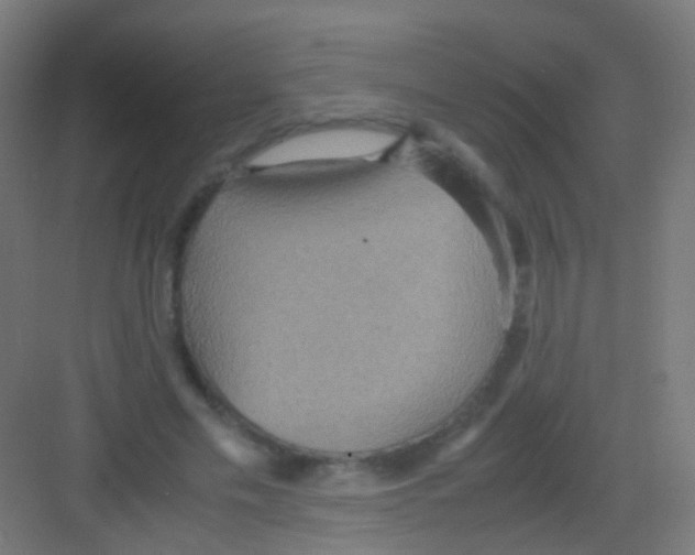 X0000081370589200702082348