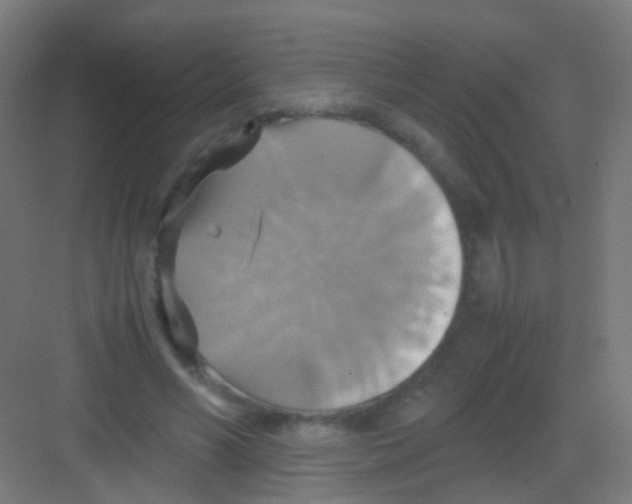 X0000081370590200702082348