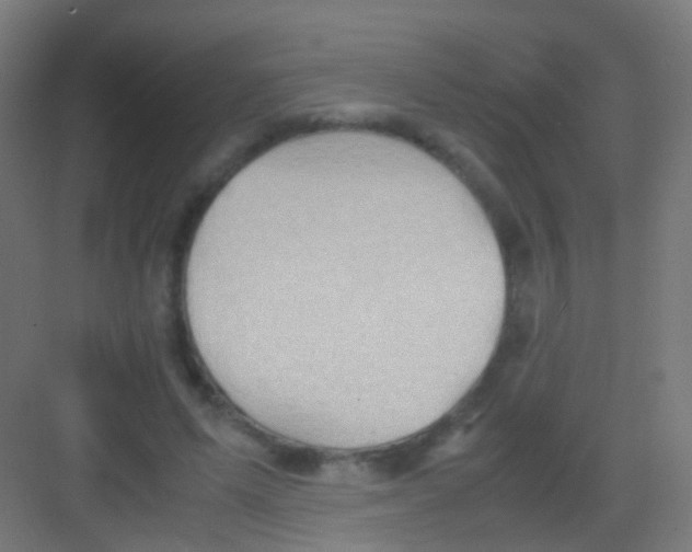 X0000081370591200702082348