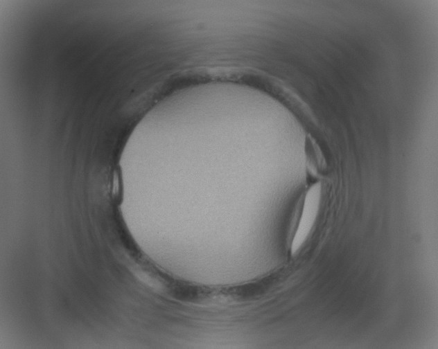 X0000081370593200702082348